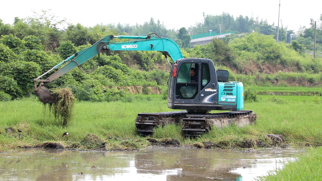 毛里湖鎮(zhèn)：荒地變良田 增收又增效