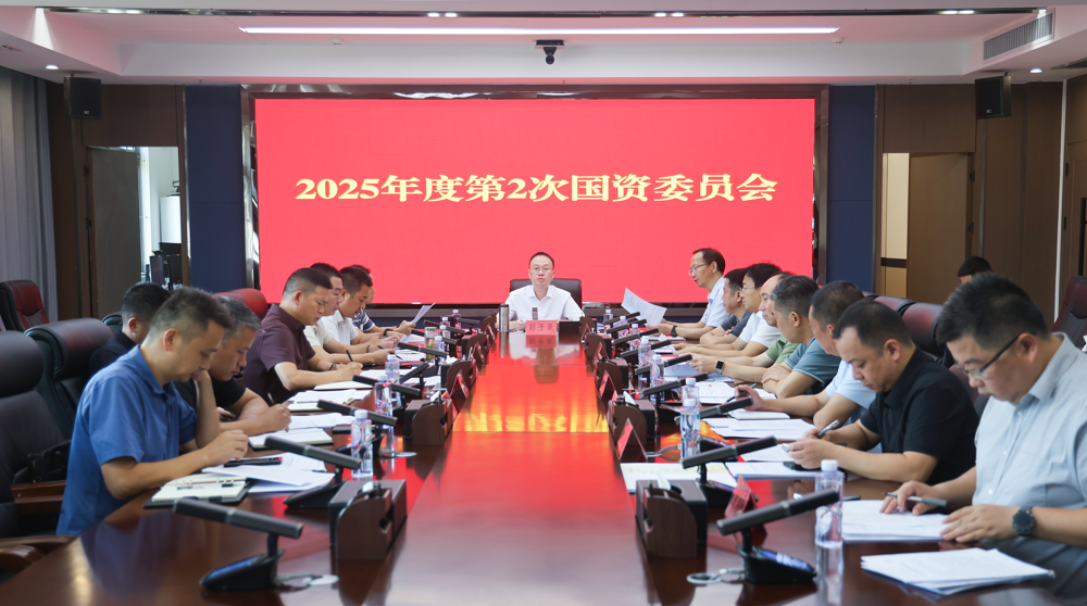 彭子晟主持召开2025年度第2次国资委员会议