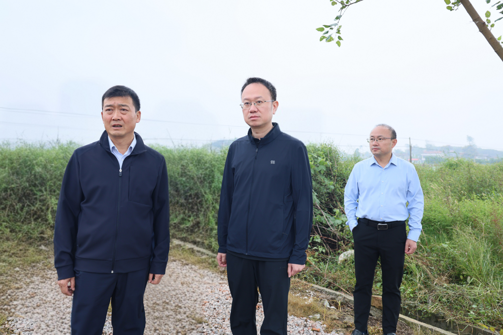 彭子晟调研粮食生产、大气污染防治、秸秆禁限烧及综合利用工作