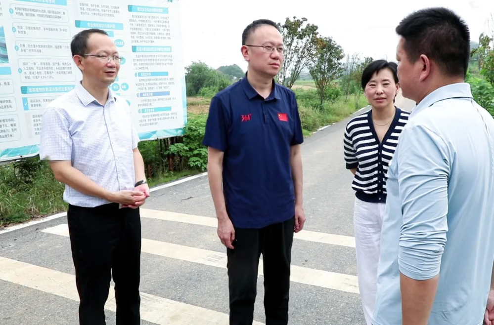 彭子晟赴新洲镇调研秸秆综合利用工作