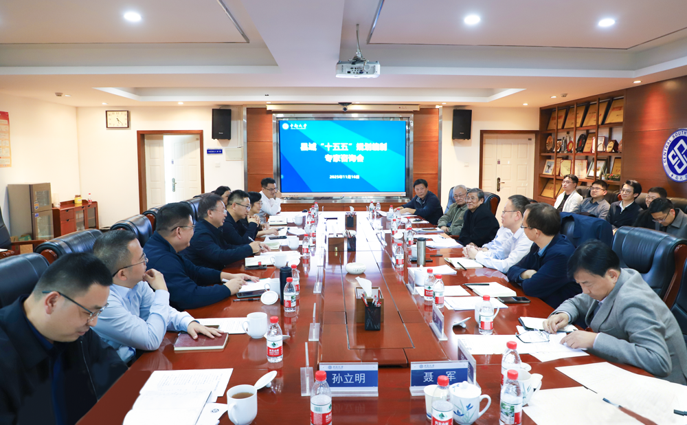 我市召开“十五五”规划编制专家咨询会