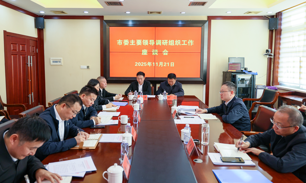 彭子晟调研组织工作