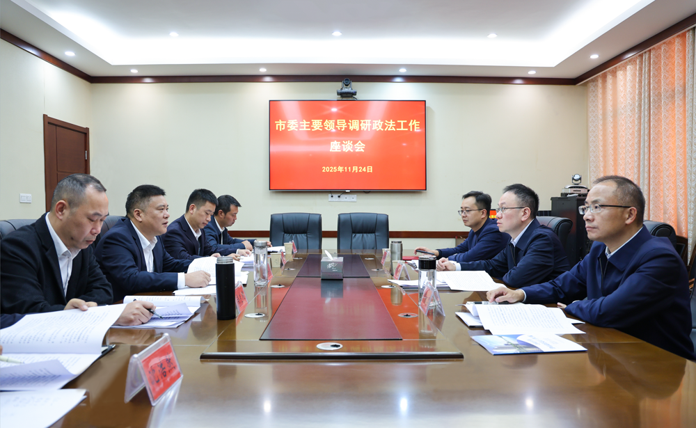 彭子晟调研政法工作