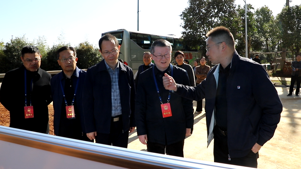 市人大常委会视察2025年市本级民生实事项目实施情况