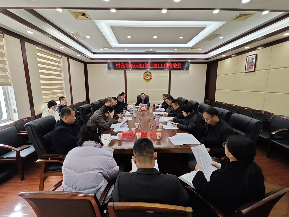 我市招商专项小组(第三组)工作推进会召开