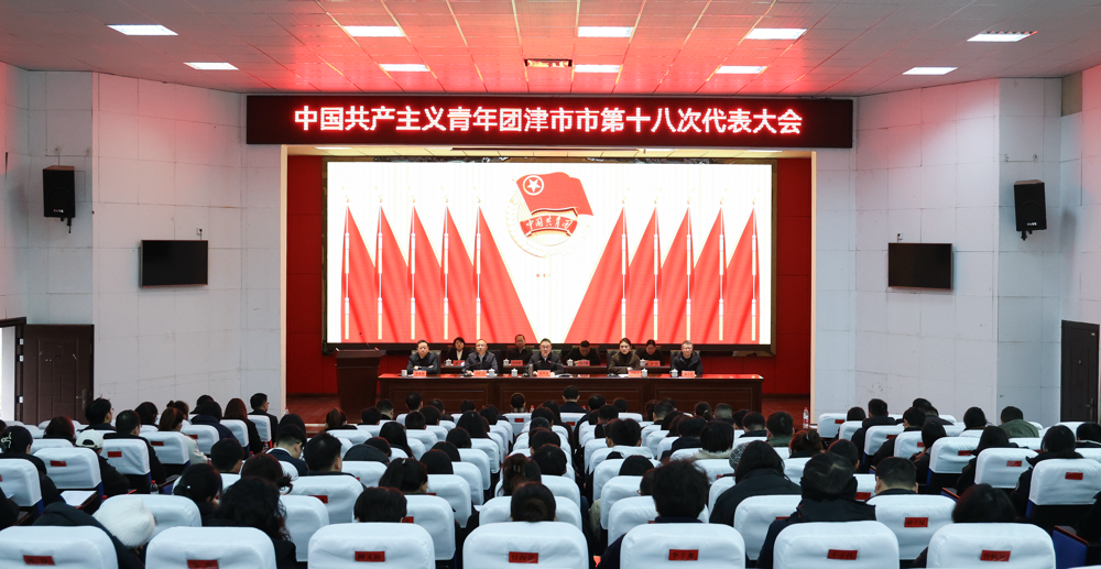 共青团津市市第十八次代表大会召开