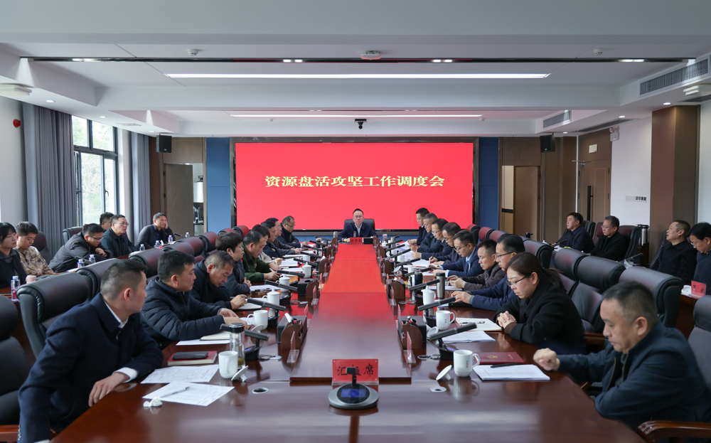 彭子晟主持召开资源盘活攻坚工作调度会