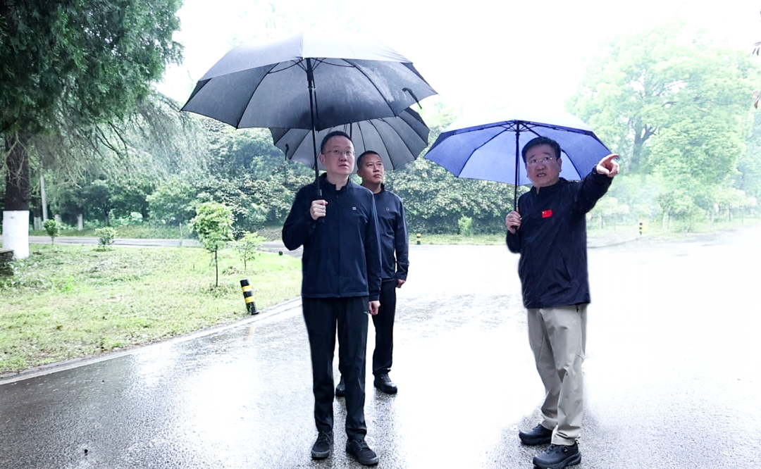 彭子晟调研文旅产业发展及街区精细化管理工作