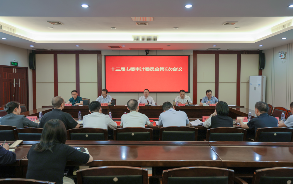 十三届市委审计委员会第6次会议召开