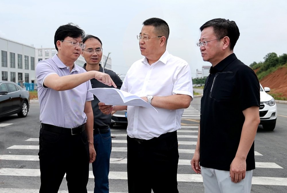李军林调研重点项目建设