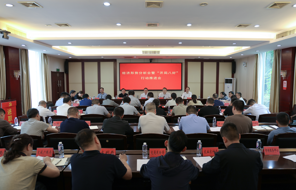 我市召开经济形势分析会暨“开局八好”行动推进会