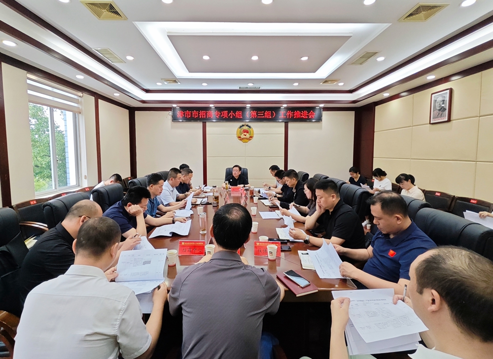 市招商专项小组(第三组)召开工作推进会