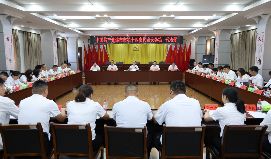 中国共产党津市市第十四次代表大会各代表团举行分团活动