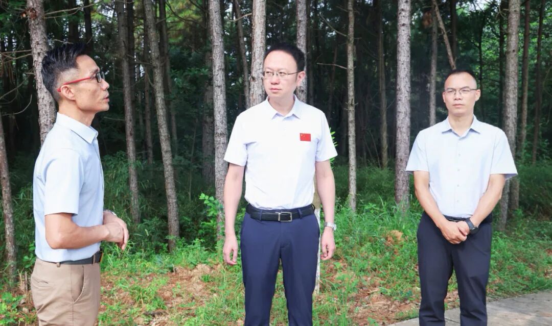 彭子晟调研督导乡村振兴及安全生产工作