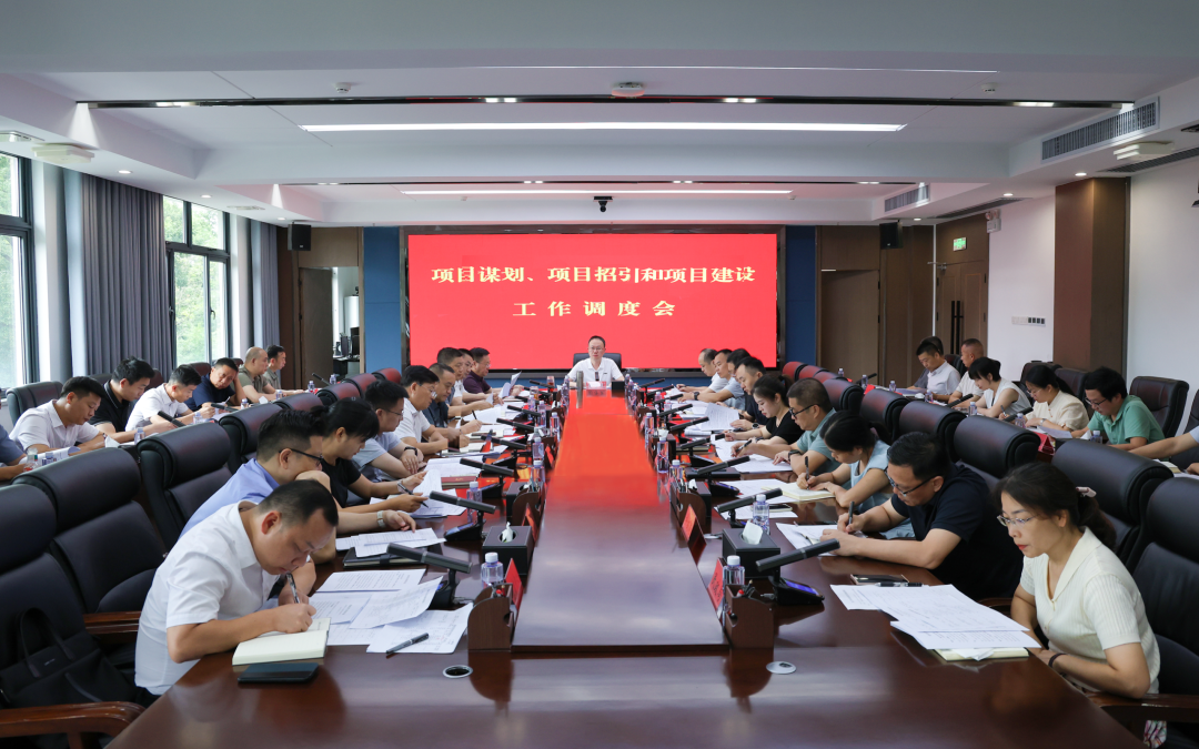 彭子晟调度项目谋划、招引及建设工作