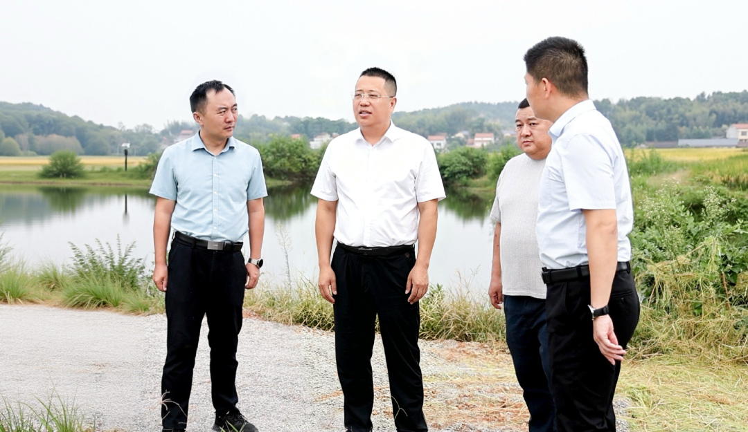 李军林调研督导秸秆综合利用及相关项目建设工作