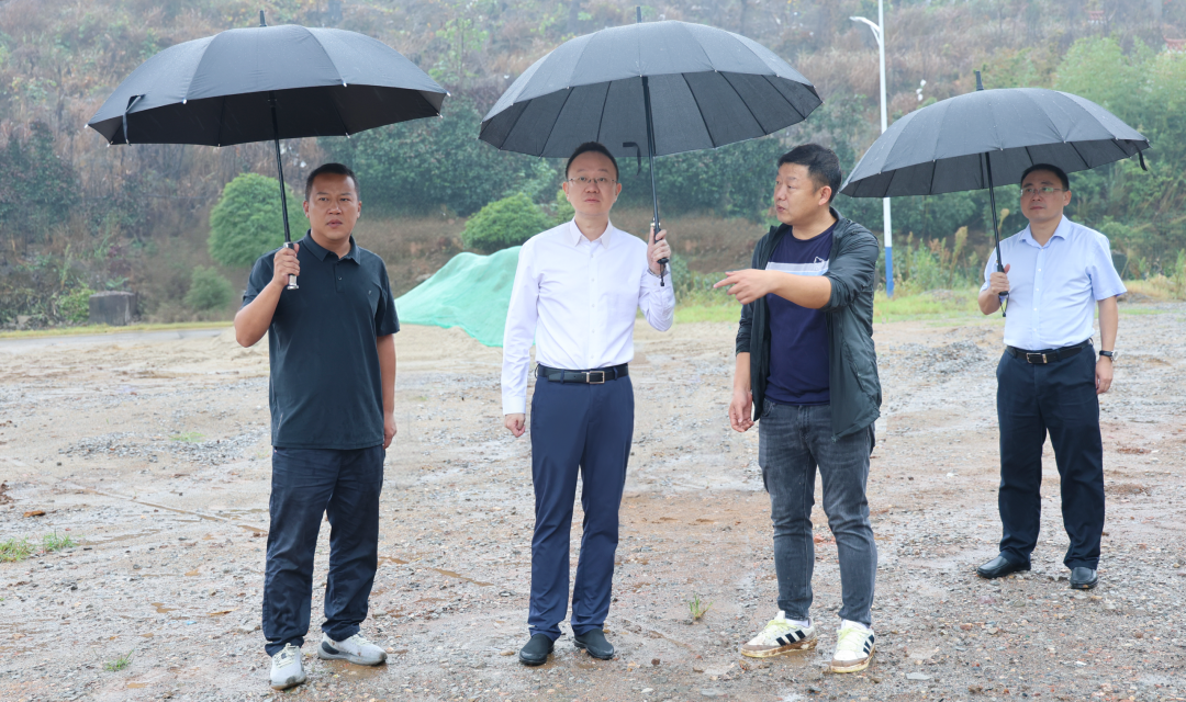 彭子晟督导生态环保重点工作