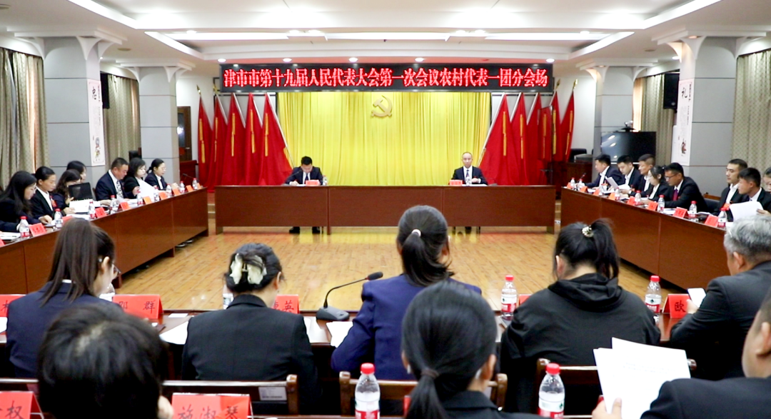 津市市第十九届人民代表大会第一次会议举行预备会议