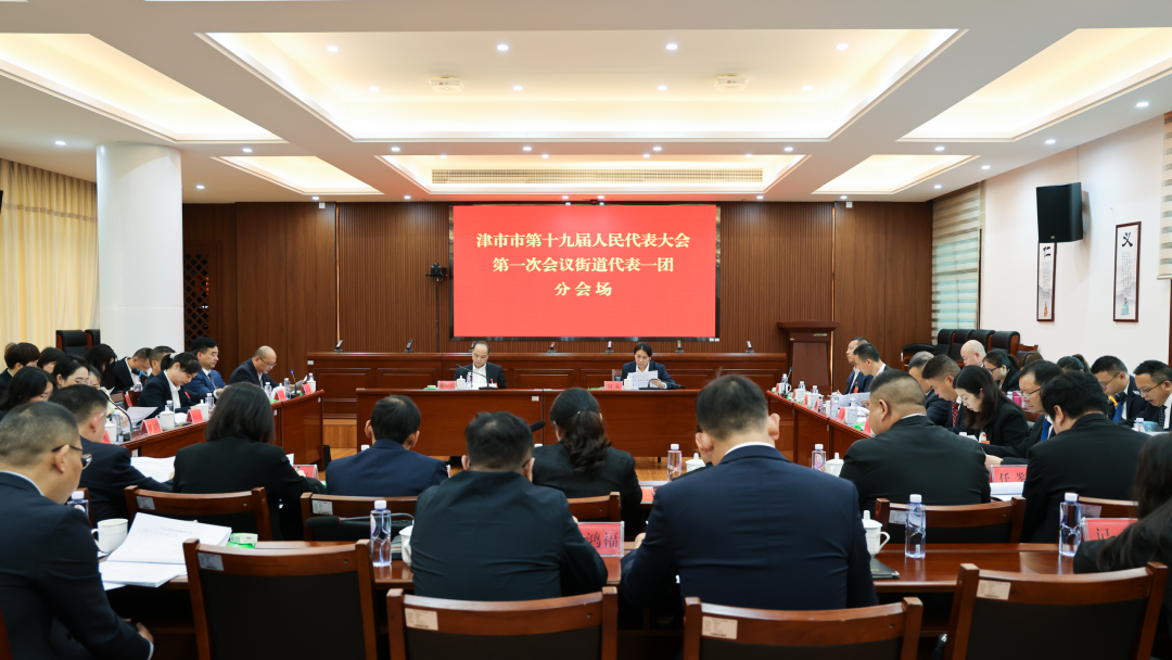 津市市第十九届人民代表大会第一次会议举行各代表团分团活动